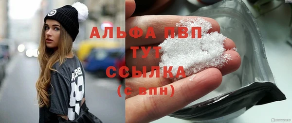 стафф Майский