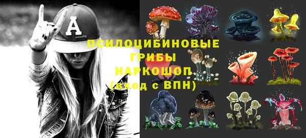 стафф Майский