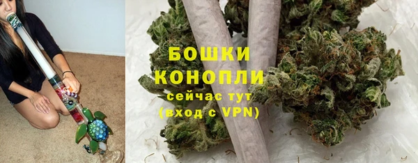 стафф Майский