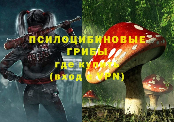гидропоника Магадан