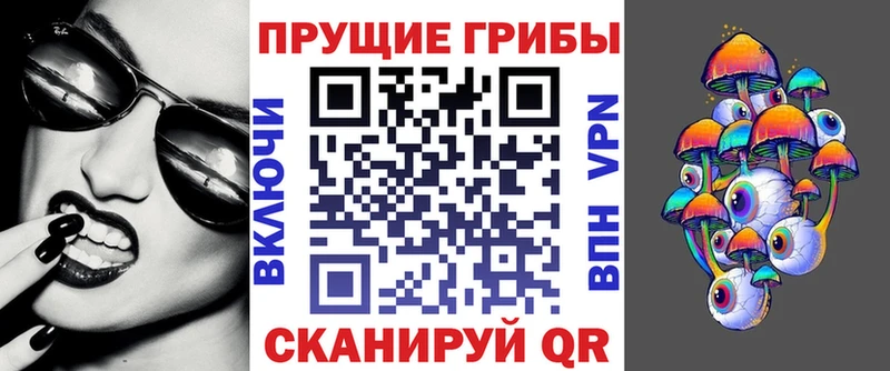 Галлюциногенные грибы Cubensis  Купить где  Покровск 