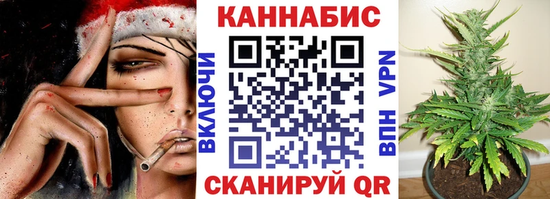 Купить где  Покровск  Канабис конопля 